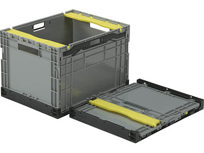 F-BOX113