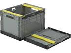 F-BOX113