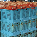 サンテナーA#80K嵩上げフタ