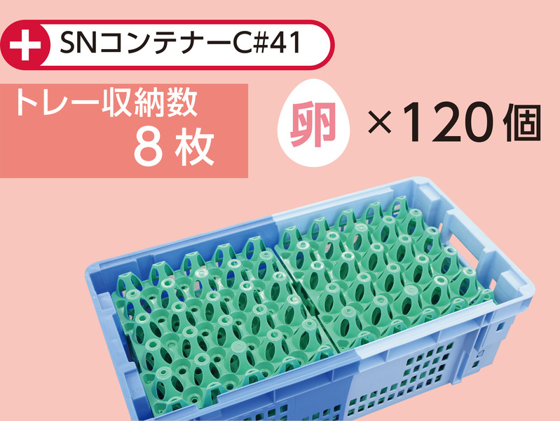 エッグトレー20-3
