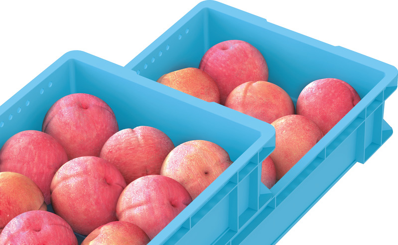 製品詳細 | 検索結果一覧 | 製品検索 | 製品情報 | 三甲株式会社