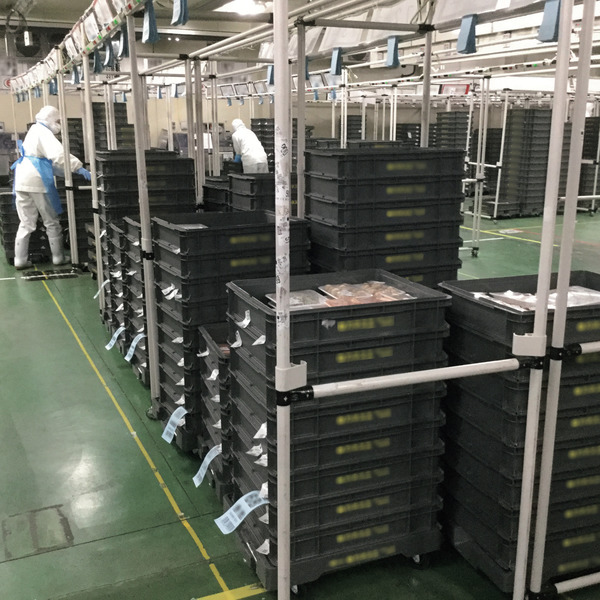 サンボックス#20-4