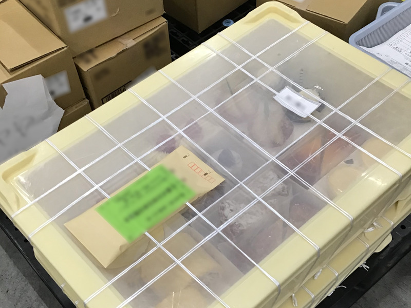 大型ばんじゅうマドフタ